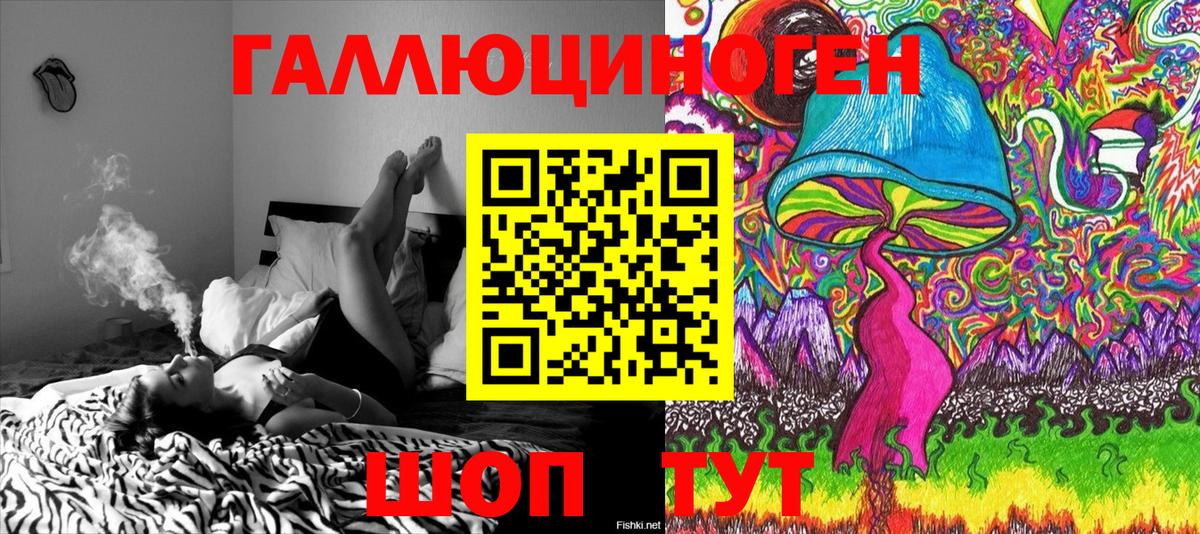 Таганрог  Псилоцибиновые грибы Psilocybe  Вход с VPN 